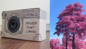 Bitkileri muayene eden video kamera üretildi