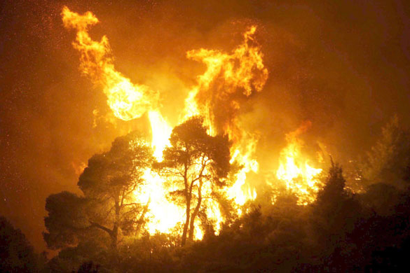 Muğla&#039;da 20 dönüm ormanlık alan yandı