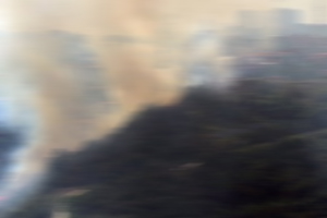 Beykoz&#039;da orman yangını kontrol altına alındı