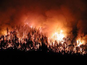 Beykoz&#039;da orman yangını
