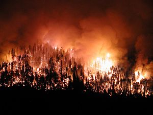 KKTC&#039;de orman yangını çıktı
