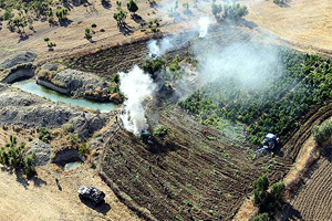 Diyarbakır&#039;da 5.4 milyon kök Hint keneviri imha edildi