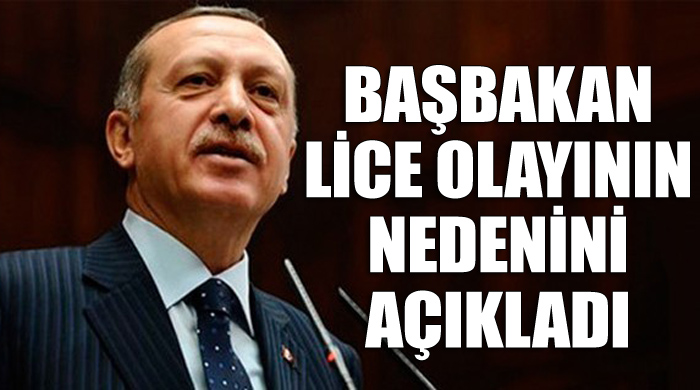 Başbakan Erdoğan, Lice olaylarının nedenini açıkladı