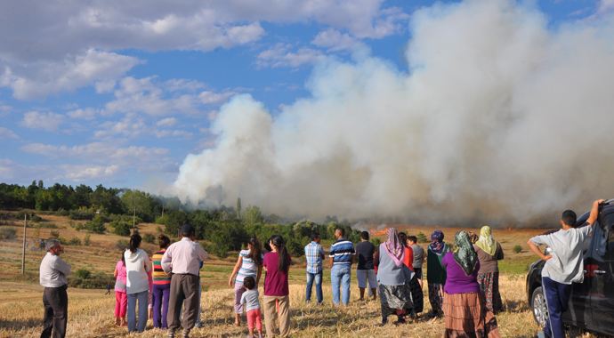 Lüleburgaz&#039;da orman yangını, 50 hektarlık alan kül oldu