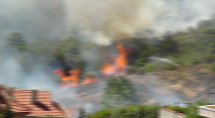 Balıkesir&#039;de orman yangını
