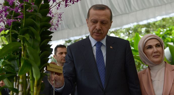 Bu çiçeğin adı: &#039;Tayyip-Emine Erdoğan&#039;