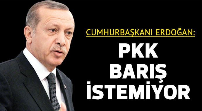Cumhurbaşkanı Erdoğan: PKK barış istemiyor