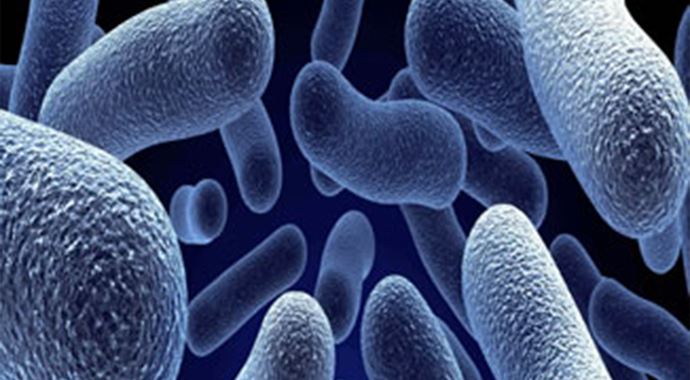 Hastalıklarınızın sebebi bakteri mikrobiyotası olabilir