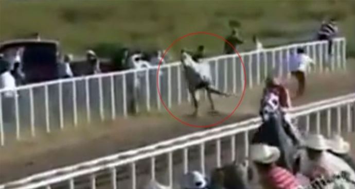 Meksika&#039;daki at yarışlarında korkunç kaza!