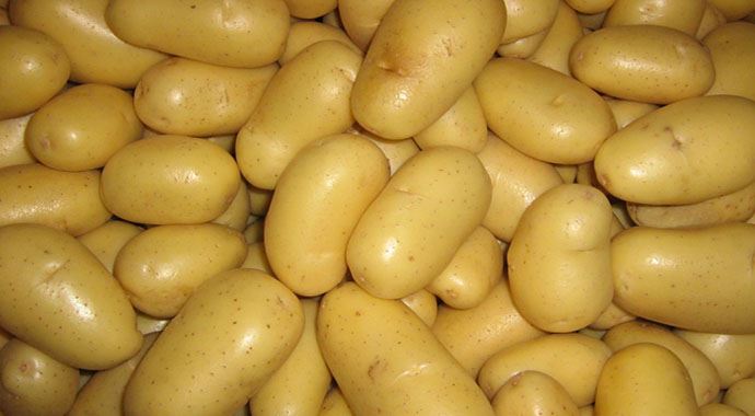 Patates fiyatlarındaki artış durdu, kilosu 1.30 TL&#039;ye kadar düştü