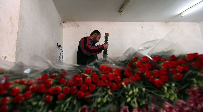 Kırmızı Karanfiller: Filistin&#039;in barış elçileri ambargo altında