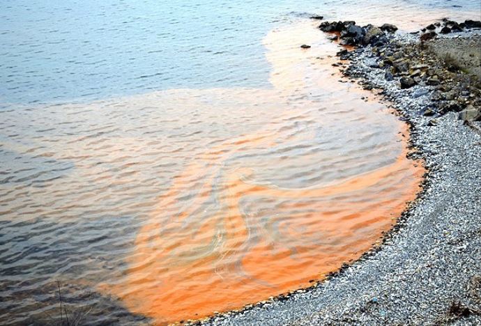 Karadeniz sahillerinde görülen kızıl tabaka yayılıyor