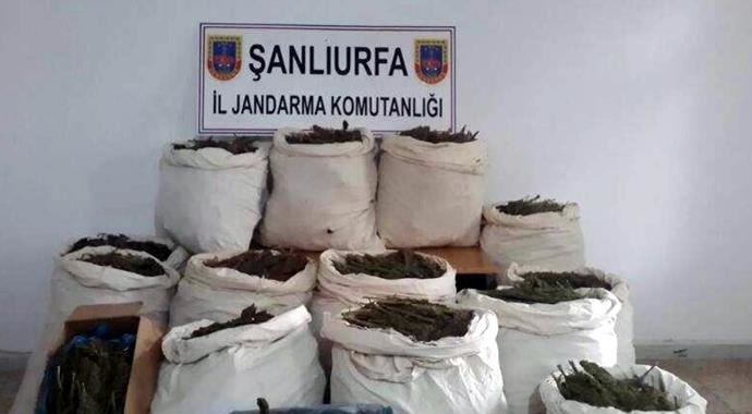 Şanlıurfa&#039;da dev uyuşturucu operasyonu