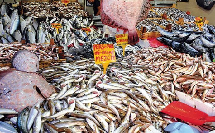 Karadeniz bereketlendi, balık fiyatları düştü