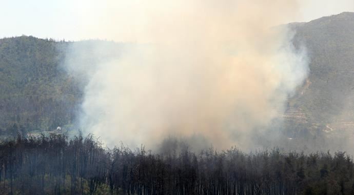 Suriye sınırında dün başlayan orman yangını etkisini yitirdi