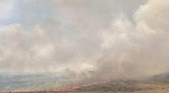 İzmir Aliağa&#039;da orman yangını