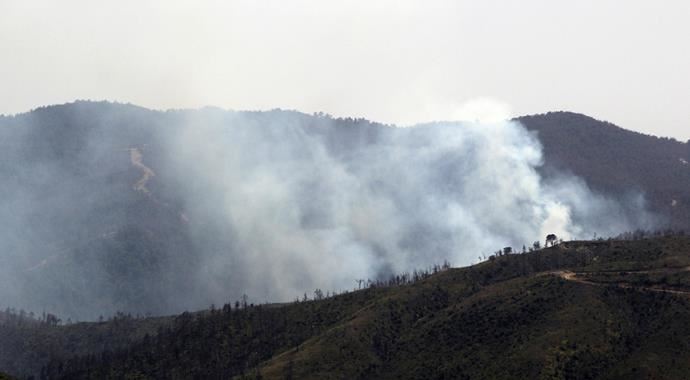 Suriye sınırındaki orman yangını 3 gündür sönmüyor