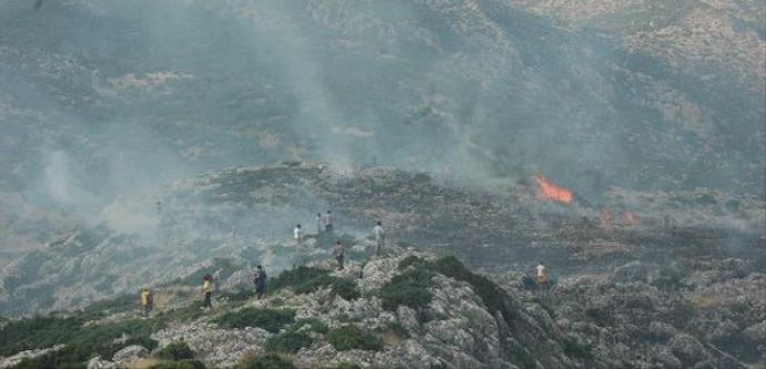 Elazığ&#039;da 10 hektarlık alanda yangın