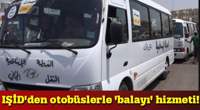 IŞİD&#039;den otobüslerle &#039;balayı&#039; hizmeti!