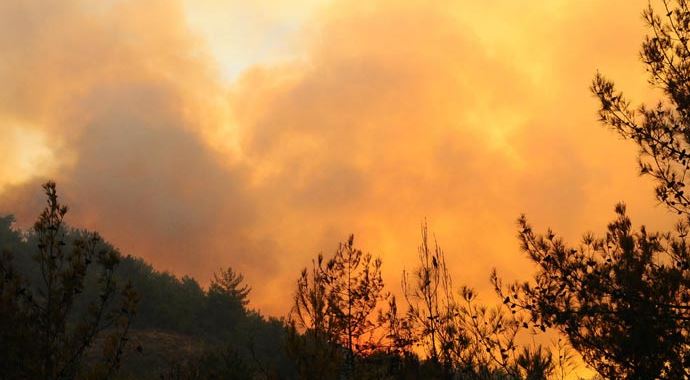 Sarıkamış&#039;ta orman yangını