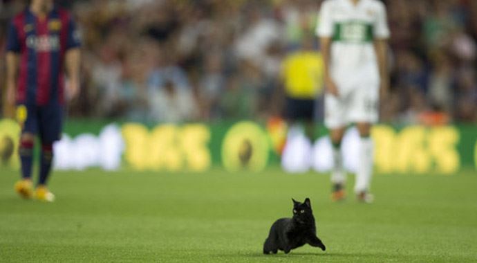 Barcelona-Elche maçına kara kedi girdi