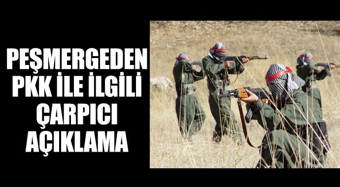 Peşmergeden çarpıcı açıklama: PKK sadece kendisini savunabildi