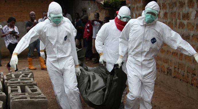 Ebola virüsü  insanlara nereden bulaşıyor?
