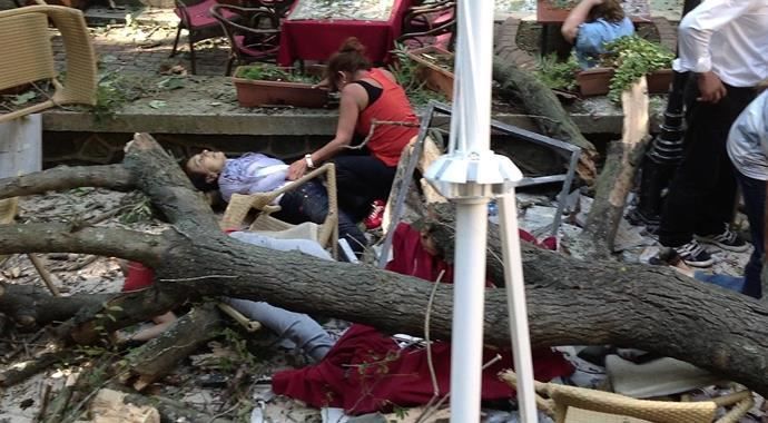 Beykoz&#039;daki ağaç faciasında 1 ölü daha