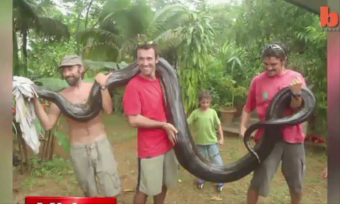 5 metrelik dev anakonda görenleri şaşırttı- İZLE