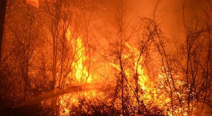 15 dönüm ormanı kül eden yangın söndürülemiyor