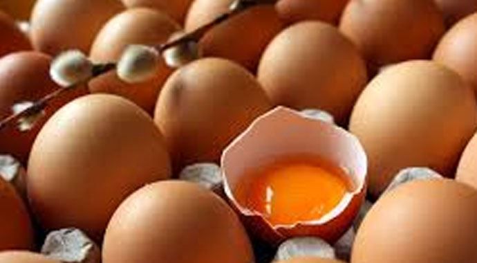 Kuzey Irak tavuk ve yumurta üreticilerini vurdu