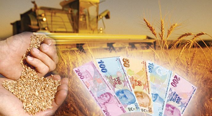 Elektrik borcu olan çiftçilere tarımsal destekleme ödemeleri