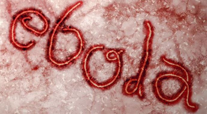Ebola&#039;nın yayılmasını kolaylaştıran bir protein belirlendi