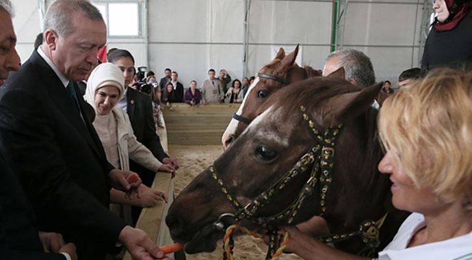 Erdoğan, atlara havuç yedirdi