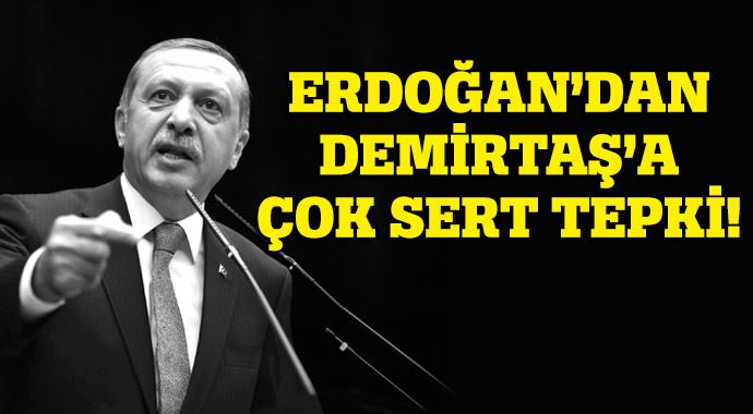 Erdoğan&#039;dan Demirtaş&#039;a çok sert tepki!