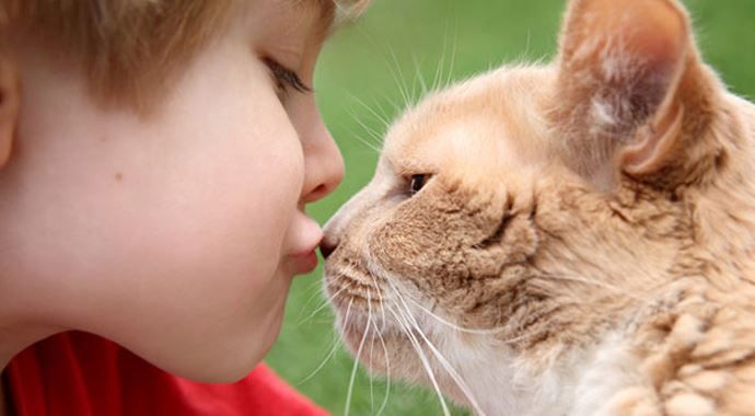Küçük yaşta kedi beslemek akıl hastalıklarına neden oluyor
