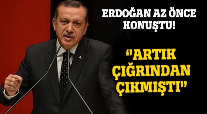 Cumhurbaşkanı Erdoğan: Artık çığırından çıktı