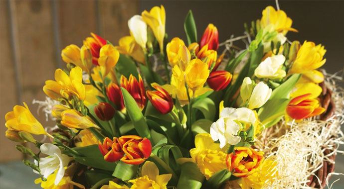 Adana, Hollanda&#039;ya çiçek ihraç edecek