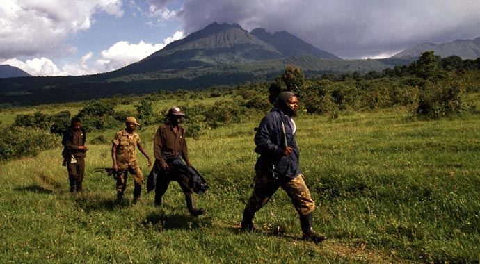 Demokratik Kongo Cumhuriyeti&#039;nde korkunç tablo