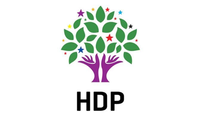 Iğdır&#039;da HDP Merkez İlçe Eş Başkanı Güngör tutuklandı