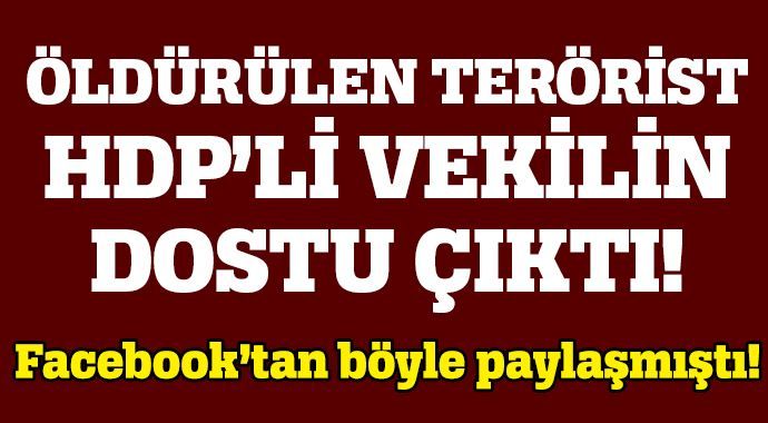 HDP&#039;li Osman Baydemir&#039;le öldürülen PKK&#039;lı yan yana