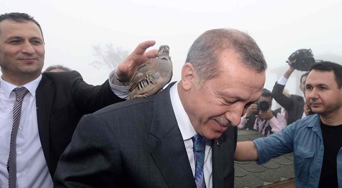Cumhurbaşkanı Erdoğan&#039;ın başına keklik kondu