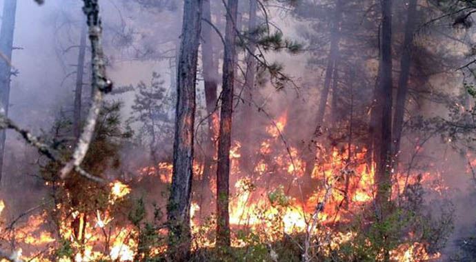 Karabük&#039;te büyük orman yangını!