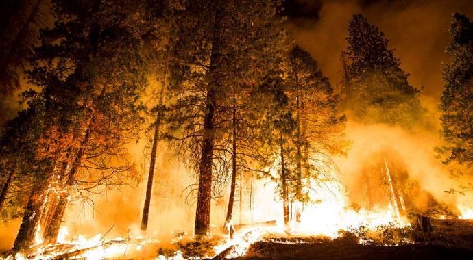 ABD&#039;nin 5 eyaletinde orman yangınları