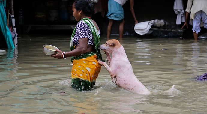 Hindistan&#039;daki sel ve heyelanlarda 103 kişi hayatını kaybetti