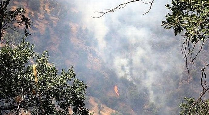Cudi Dağı&#039;ndaki yangın için vatandaşlar seferber oldu