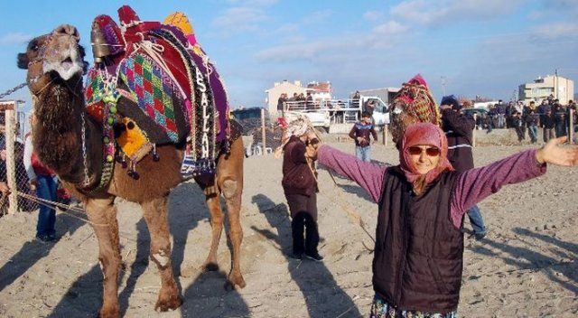 73 yaşındaki kadın devesiyle güreşlere katıldı