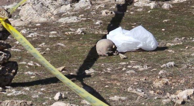 Diyarbakır&#039;daki bir mağarada bulunan 15 kafatasının sırrı çözüldü