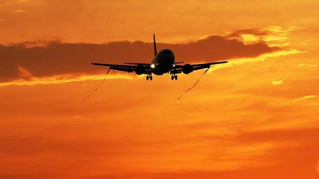 Hindistan uçağı fare yüzünden havalimanına geri döndü