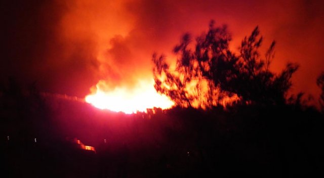 Marmaris&#039;te orman yangını! Giderek büyüyor